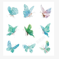 水彩蝴蝶图片蓝色蝴蝶高清图片