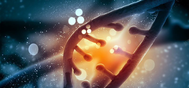 基因转基因结构科技蓝色海报背景背景