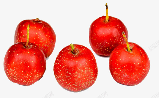 五个鲜红色的山里红png免抠素材_88icon https://88icon.com 山楂 山楂果 果子 水果 红山楂果 红果 鲜红色