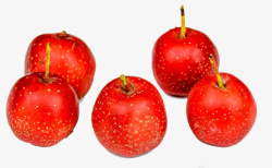 红果果五个鲜红色的山里红高清图片