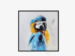 油画鸟鹦鹉油画高清图片
