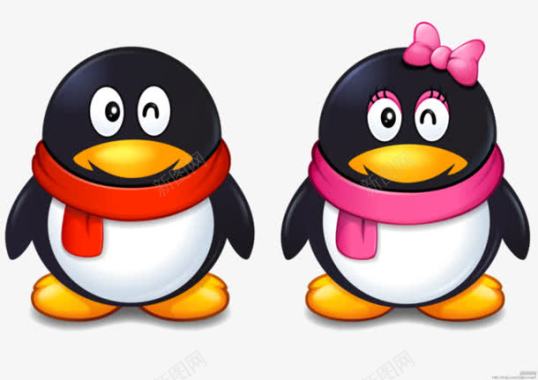 高清免扣素材QQ企鹅头像男女企鹅图标图标