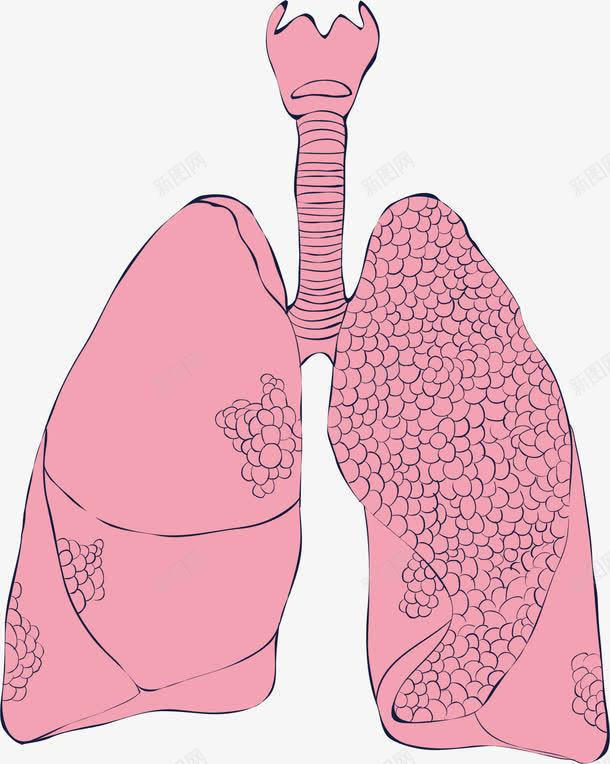 人体的粉色肺部器官png免抠素材_88icon https://88icon.com 健康 器官 生物医药 生物医药产业 生物医药展板 生物医药广告 生物医药整容 肺部
