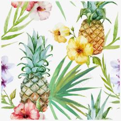 菠萝花热带植物高清图片