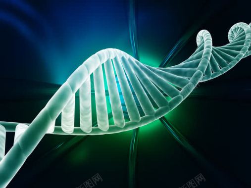 DNA结构背景