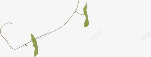 绿色树叶边框海报png免抠素材_88icon https://88icon.com 树叶 海报 绿色 边框