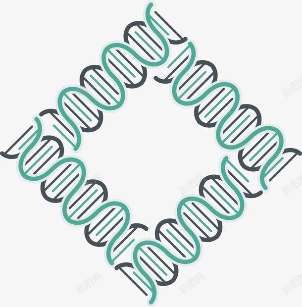 简约方形DNA基因链图形png免抠素材_88icon https://88icon.com DNA双螺旋 几何 简约 绿色