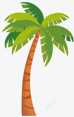 棕榈品种高大乔木棕榈树高清图片
