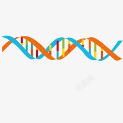 逼真人体DNA双螺旋结构素材