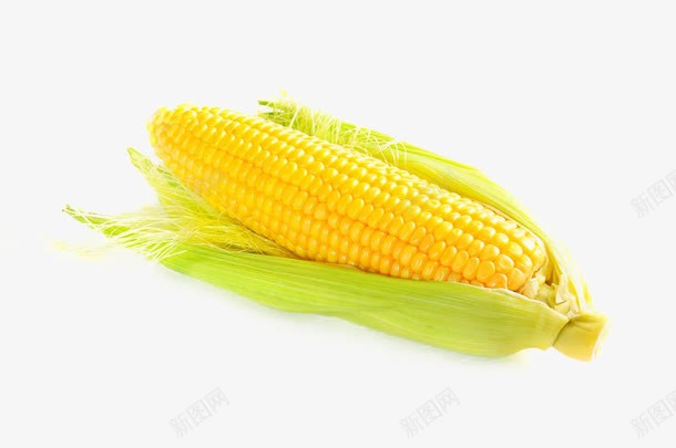 新鲜玉米png免抠素材_88icon https://88icon.com 新鲜玉米 玉米 玉米棒 玉米粒 粮食 金黄色 食材原料