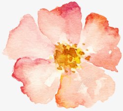 典雅花手绘水彩花粉色高清图片