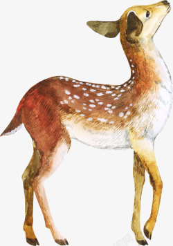 水彩麋鹿手绘橘色的麋鹿图高清图片