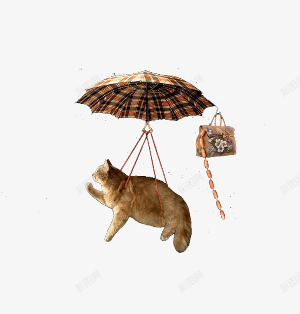 被雨伞吊起来的猫咪png免抠素材_88icon https://88icon.com 包包 猫 雨伞 飞起来