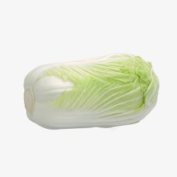 新鲜绿色的大白菜素材