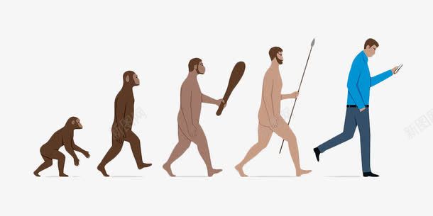 果盘插图手绘人类进化图标图标