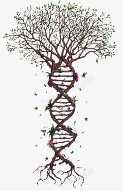 螺旋基因螺旋的树高清图片