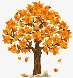 金色大树枯黄的落叶高清图片