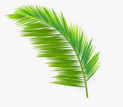 手绘绿色植物椰树叶子图素材