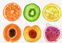 木瓜片手绘水彩水果切片高清图片