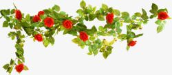 春天红色玫瑰花丛素材