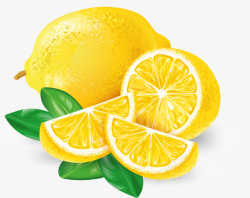 手绘切片手绘柠檬高清图片