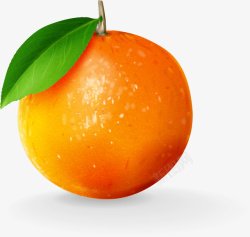 橙色卡通橘子素材