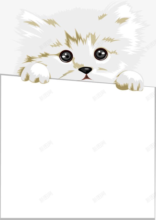 宠物猫抓着纸板文字边框png免抠素材_88icon https://88icon.com 宠物 宠物广告牌 猫 纸板文字边框