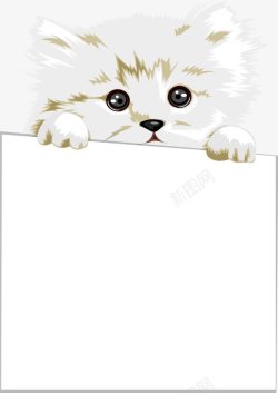 宠物广告牌宠物猫抓着纸板文字边框高清图片