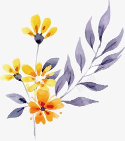高贵花朵卡通橘黄色花朵水彩手绘高清图片