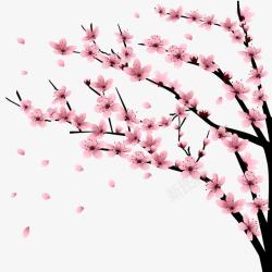 樱花花边素材樱花树高清图片