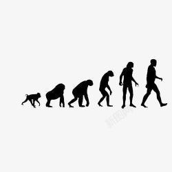 人类进化图素材