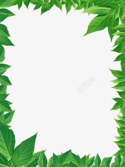 绿色清新护眼树叶装饰边框素材