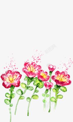 手绘粉色花朵植物春天素材