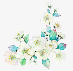 栀子花装饰设计矢量白色鲜花高清图片