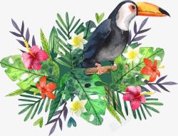 热带大嘴鸟手绘水彩大嘴鸟海报高清图片
