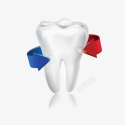 牙齿保护牙齿高清图片