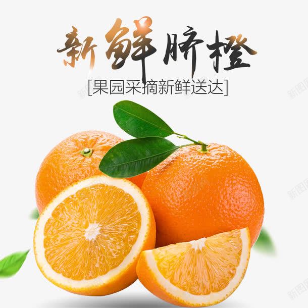 水果橙子新鲜脐橙png免抠素材_88icon https://88icon.com 新鲜 新鲜水果 橙子 水果 脐橙