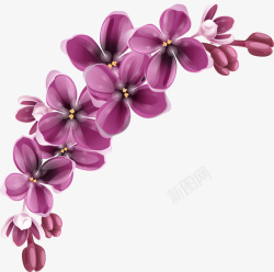 卡通手绘紫罗兰花朵素材