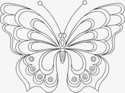 蝴蝶干笔画美丽的蝴蝶准备飞翔高清图片