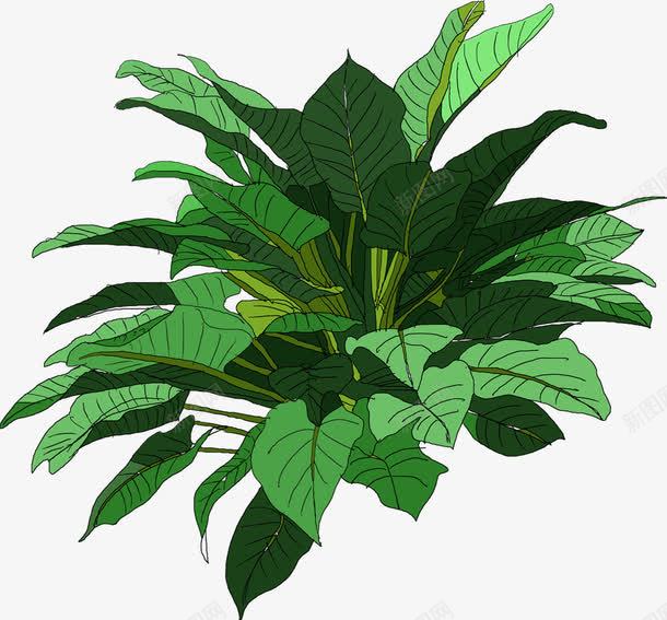 手绘绿色大叶植物美景png免抠素材_88icon https://88icon.com 植物 绿色 美景