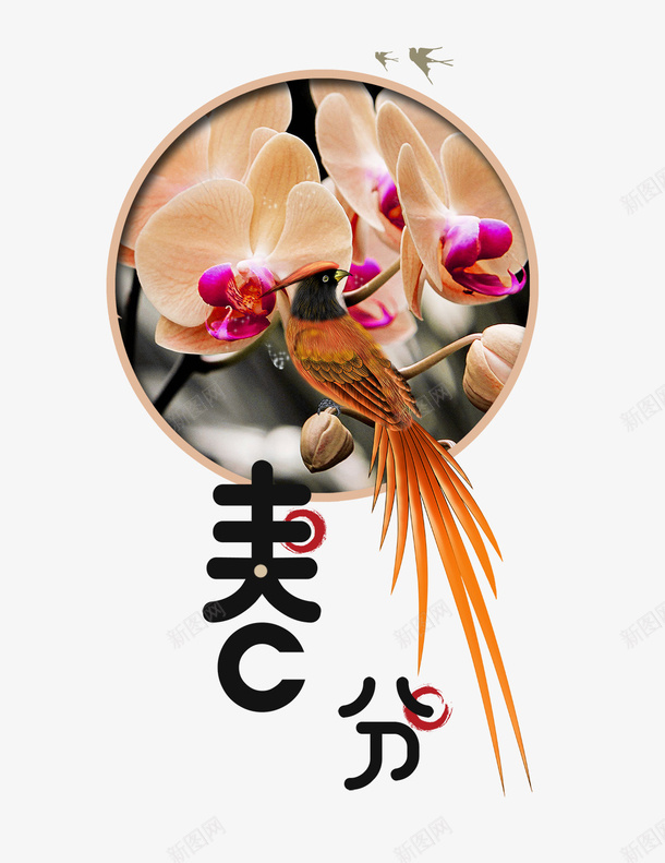 二十四节气之春分花朵装饰主题png免抠素材_88icon https://88icon.com 中国节气 二十四节气 传统节日 手绘 春分 春天 春季 春意 植物 绿色 花草 荷塘景色