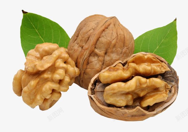 山核桃仁png免抠素材_88icon https://88icon.com 坚果 大个山核桃仁 好吃的山核桃仁 山核桃 山核桃仁 山核桃仁产品实物 山核桃仁坚果 有营养的山核桃仁 核桃肉 营养丰富的山核桃仁 补脑上核桃仁