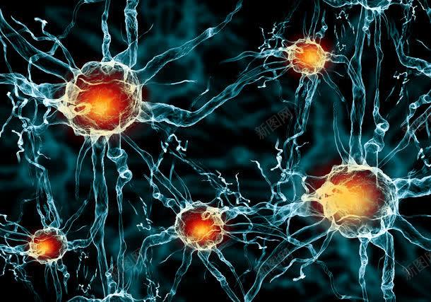 神经细胞jpg设计背景_88icon https://88icon.com 其它类别 医学 医学背景图片 医疗卫生科学 图片素材 神经元 神经系统 神经纤维 神经细胞图片 神经细胞图片素材下载 背景花边