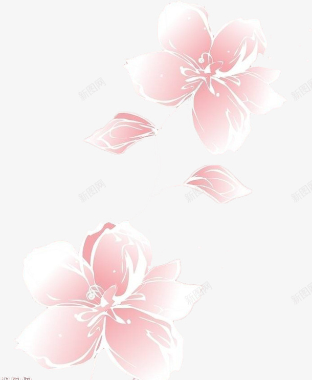 美丽水墨樱花png免抠素材_88icon https://88icon.com 卡通 樱花 樱花水墨 水墨 水墨樱花 粉色 美丽 芳香