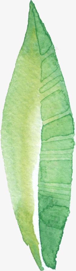 绿色水彩画草树叶5素材
