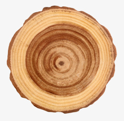 木头截面红色圆环心光滑木头截面实物高清图片