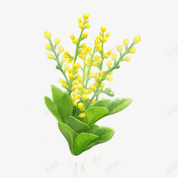 春天阳春三月绿植黄花png免抠素材_88icon https://88icon.com 春天 春季 春意 树苗 植树 植物 清新 玫瑰 立春 细腻 绿叶 绿意 绿植 绿色 花 蝴蝶 黄花