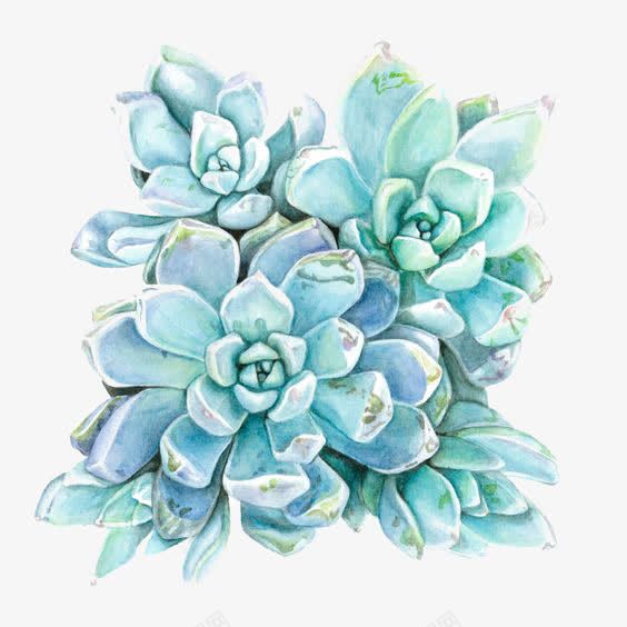 蓝色多肉植物png免抠素材_88icon https://88icon.com 多肉免扣PNG 水彩植物 渐变色 盆景 盆栽 蓝色
