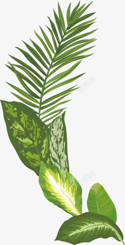 发芽过程插画绿色树叶发芽矢量图高清图片