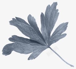 质感纹理复古花纹素材